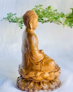 Tượng Đức Bổn Sư Thích Ca Mâu Ni